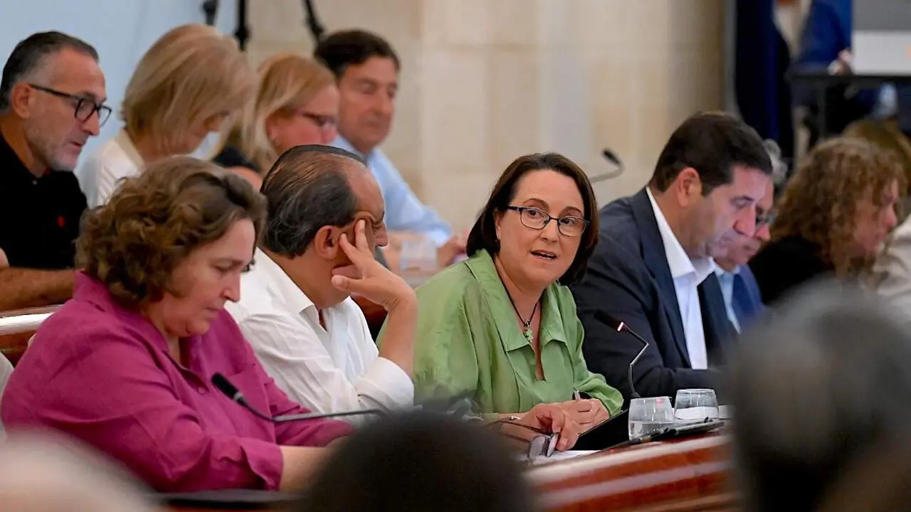  La delegada de Comercio exponiendo el plan en el Pleno | Jerez.es 