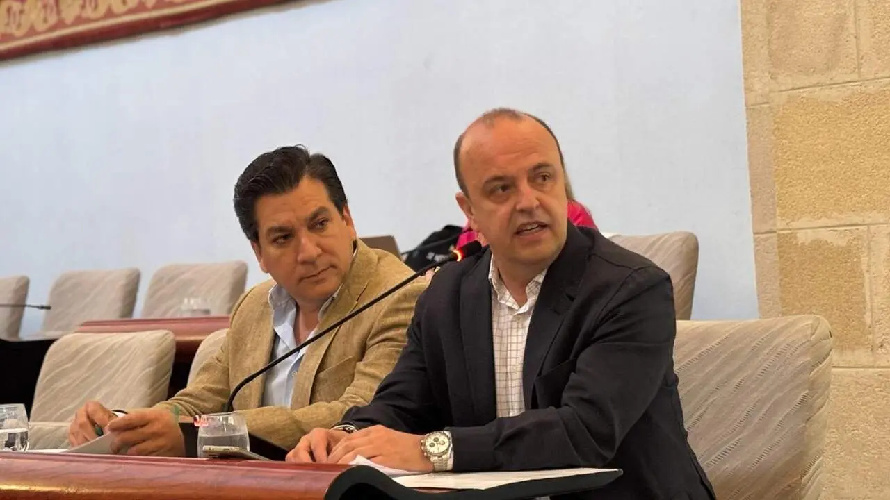  Ignacio Soto, durante su intervenci&oacute;n en el pleno. | Vox 
