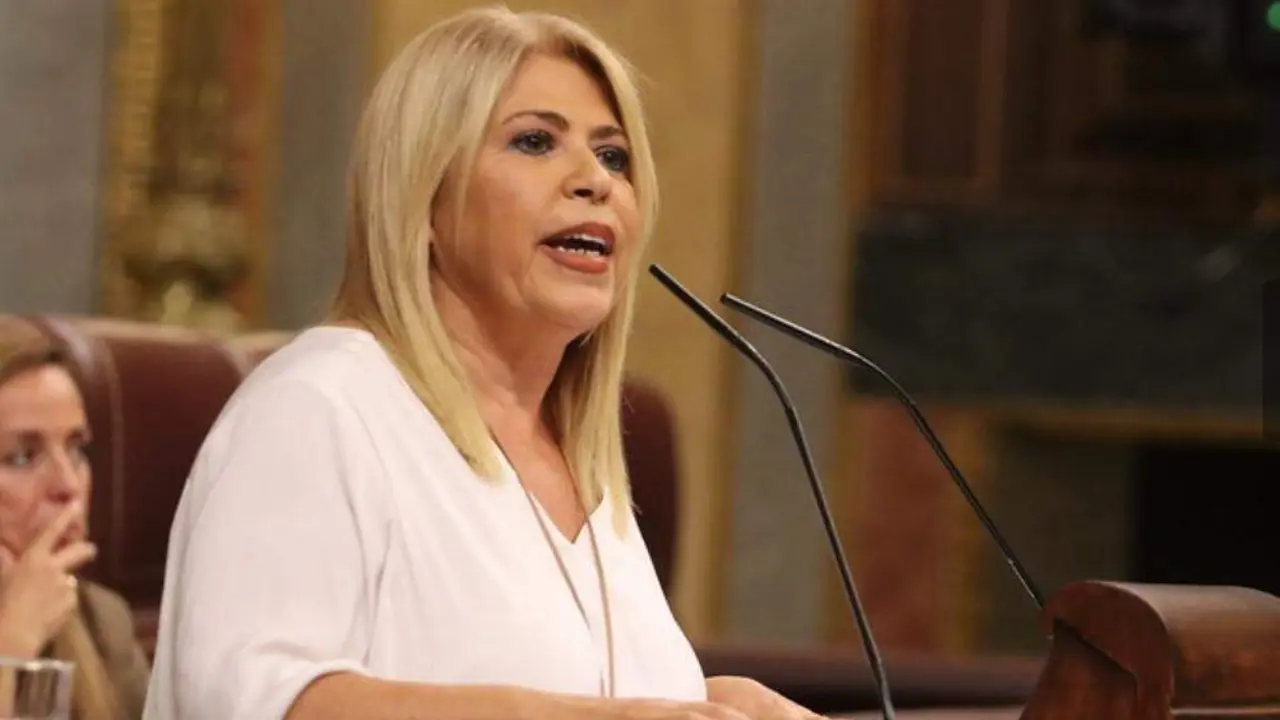  La diputada socialista Mamen S&aacute;nchez, en una intervenci&oacute;n en el Congreso. |  Viva 