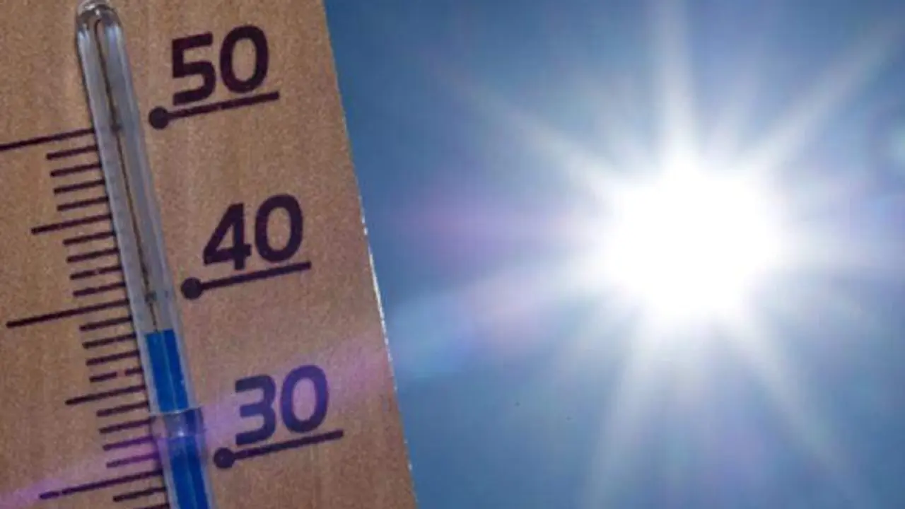  Jerez se prepara para la primera ola de calor del verano. | Viva Jerez. 