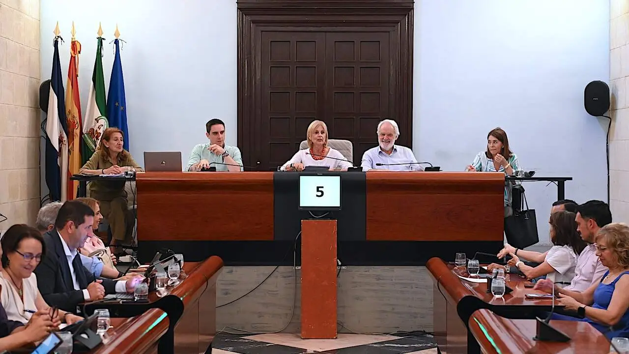  Una imagen del Pleno del Ayuntamiento de Jerez. | Viva Jerez. 