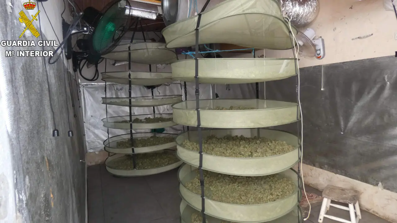  El cultivo de marihuana en el interior de la vivienda. | Guardia Civil 