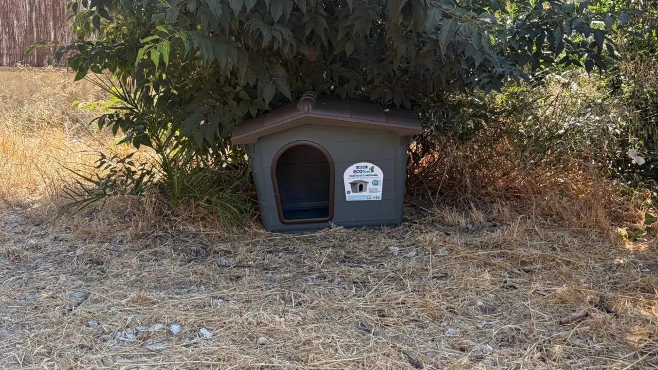  Una de las casetas para gatos instaladas por el Ayuntamiento de Jerez. | Viva Jerez. 