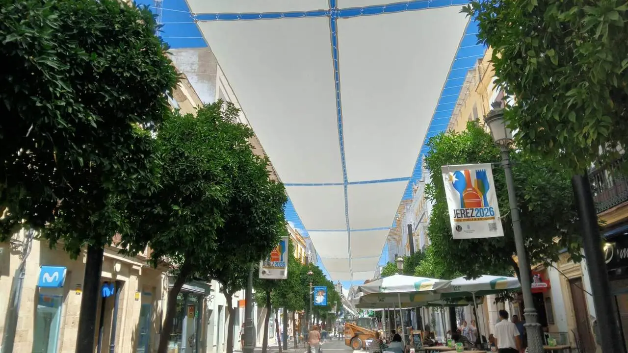  Los toldos de la calle Larga, instalados desde esta ma&ntilde;ana. |  Viva 