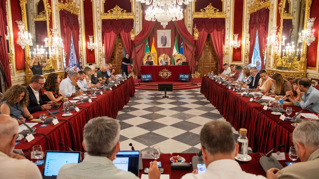  Sesi&oacute;n plenaria en la Diputaci&oacute;n de C&aacute;diz. | dipucadiz.es 