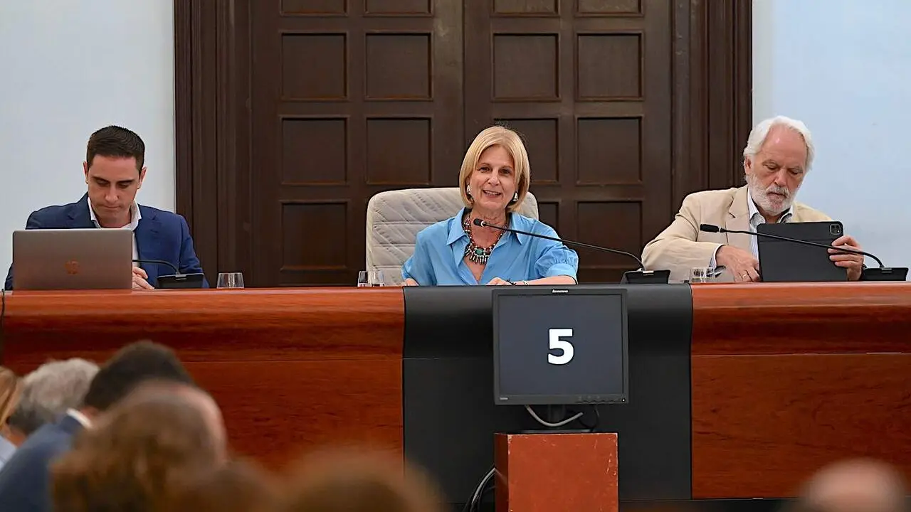  La alcaldesa, Mar&iacute;a Jos&eacute; Garc&iacute;a-Pelayo, presidiendo el Pleno municipal. | Viva Jerez. 