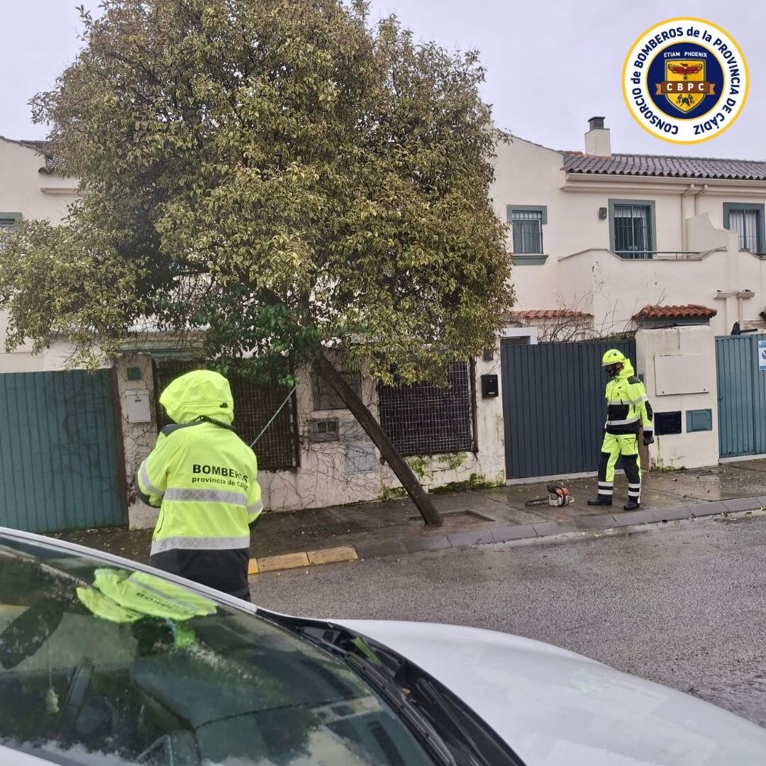 Bomberos actuando ante la caída de árboles. | Bomberos