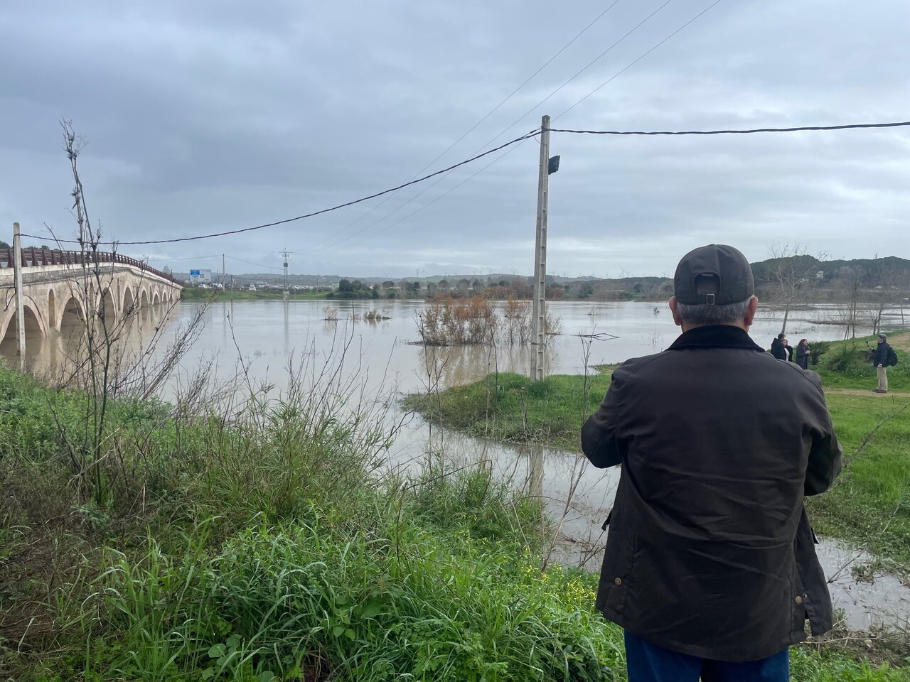 El río a su paso por el puente de Cartuja. |  Jiménez