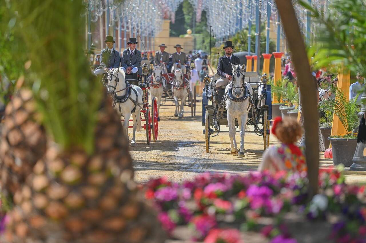 El paseo de caballos del González Hontoria. |  Viva
