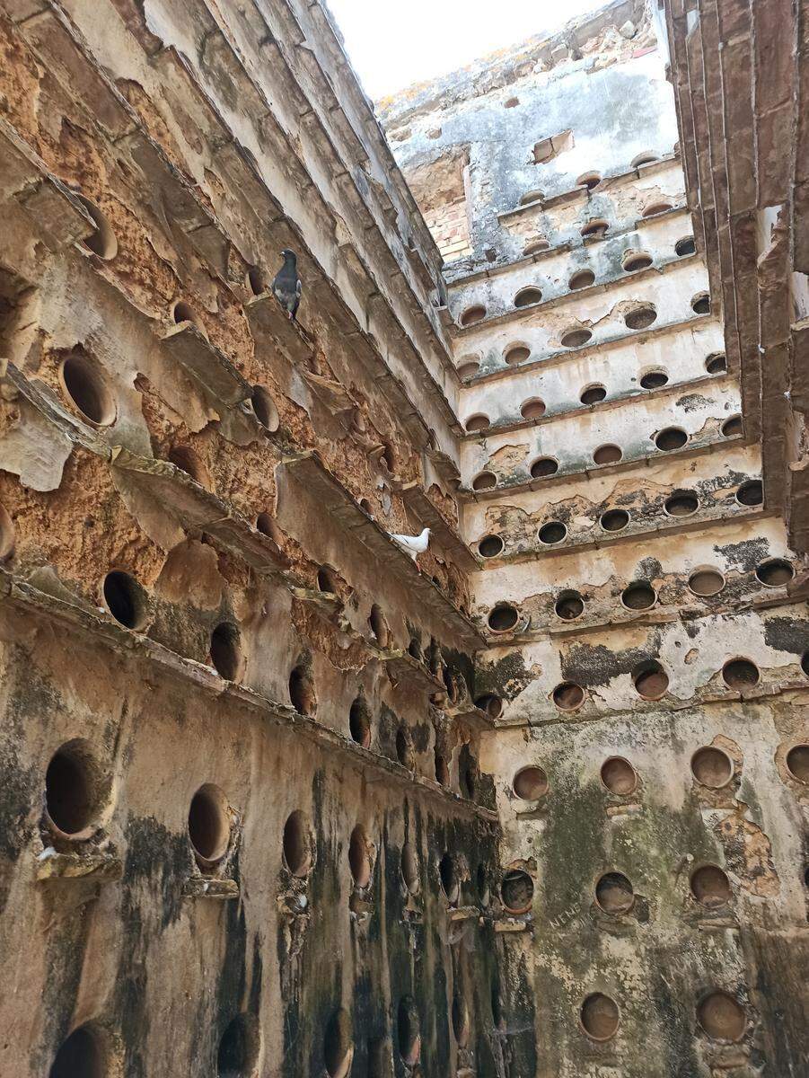 Perderte en el palomar más antiguo del mundo  | Patronato de Turismo